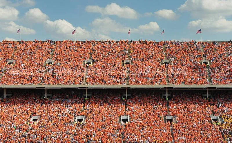 云浮运动会今日精彩赛事回顾：体育健儿齐聚赛场，展现风采