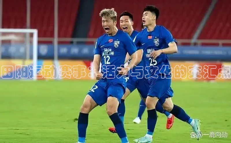 田阳运动赛事：活力与文化的交汇点