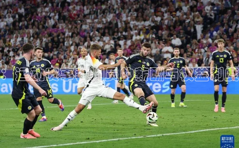 ：运动赛事裁判员的薪酬与权益制度