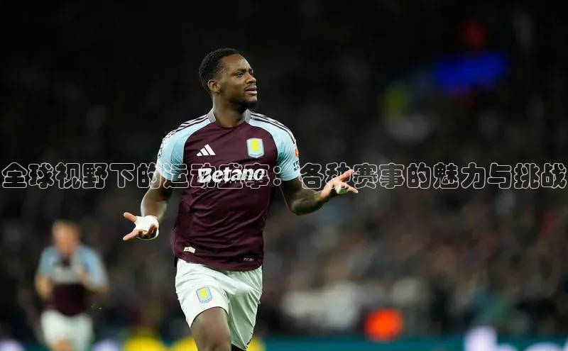 全球视野下的运动盛事：各种赛事的魅力与挑战