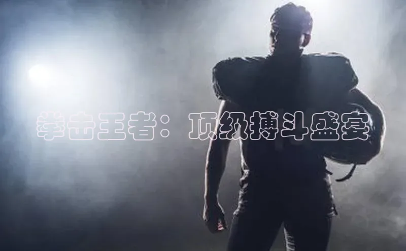 拳击王者：顶级搏斗盛宴