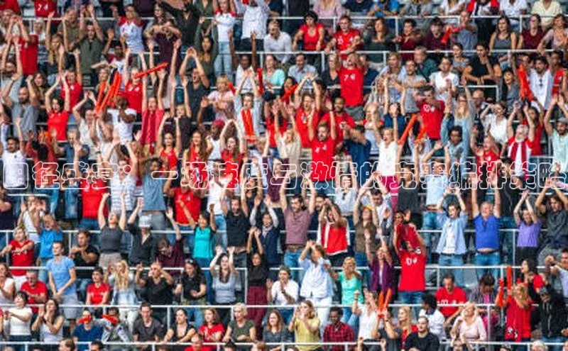 田径盛宴：一场速度与激情的竞赛编排策略