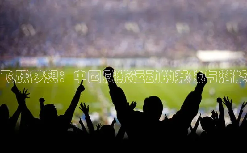 飞跃梦想：中国感统运动的竞技与潜能