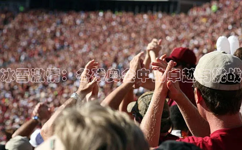 冰雪激情：冬残奥会中的卓越与挑战