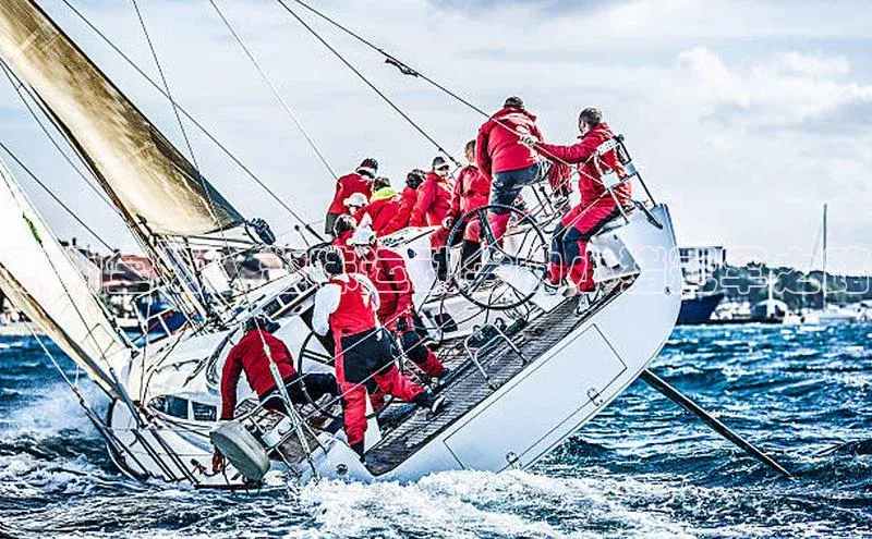 萌翻全场：趣味运动会的小猪冠军之路