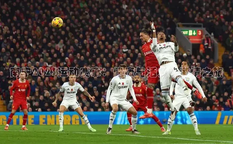 南宁2023运动赛事：健康与活力的激情之旅