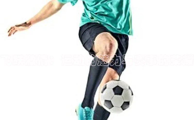 杏盛注册登录官网