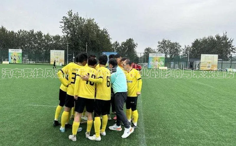 汽车竞技风潮：运动对汽车行业的影响与未来趋势