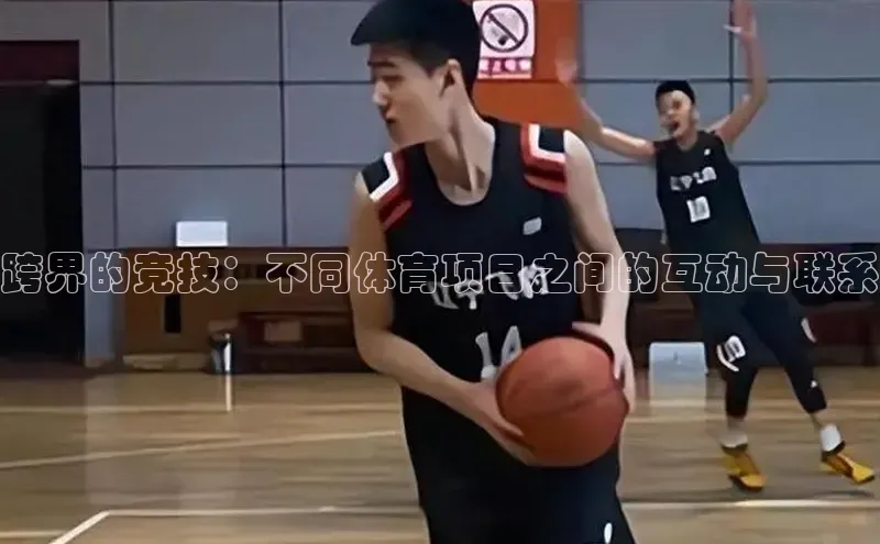 跨界的竞技：不同体育项目之间的互动与联系