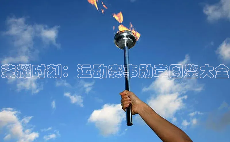 杏盛测速登录入口